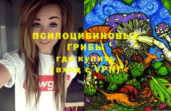 СК Алексеевка