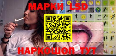 крисы Пенза