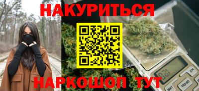 крисы Пенза