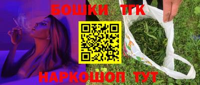 крисы Пенза