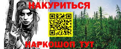 крисы Пенза
