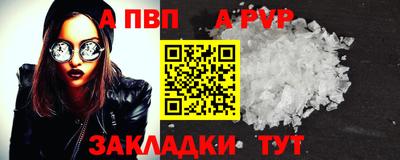 крисы Пенза