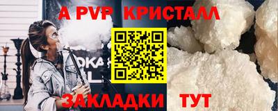 крисы Пенза