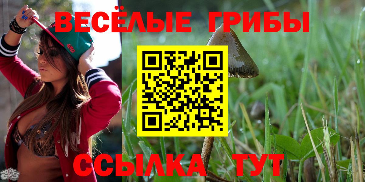 Галлюциногенные грибы Psilocybe  где можно купить   Вход с VPN  Тобольск  Галлюциногенные грибы Cubensis 