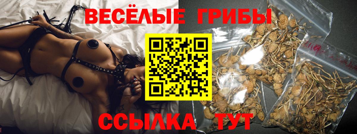 Псилоцибиновые грибы мицелий Тобольск