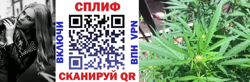 как найти   Тобольск  Шишки марихуана план 